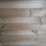 Термососна