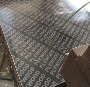 Ламинированная фанера 1500х3000 6 мм