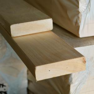 осина полог 