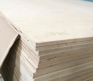 Фанера ФСФ 1220х2440 6 мм