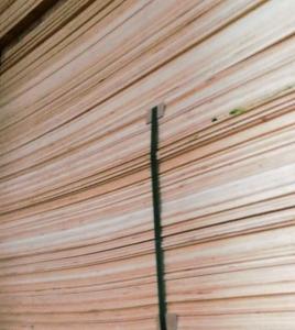 Фанера ФСФ 1220х2440 4 мм