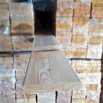 Планкен прямой лиственница