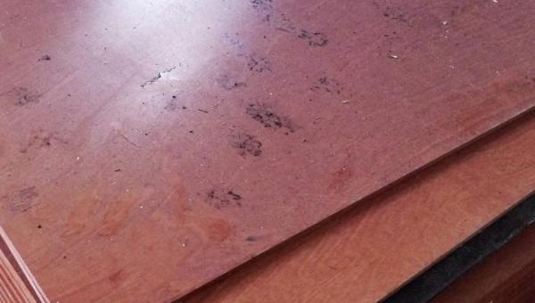 Ламинированная фанера 6 мм