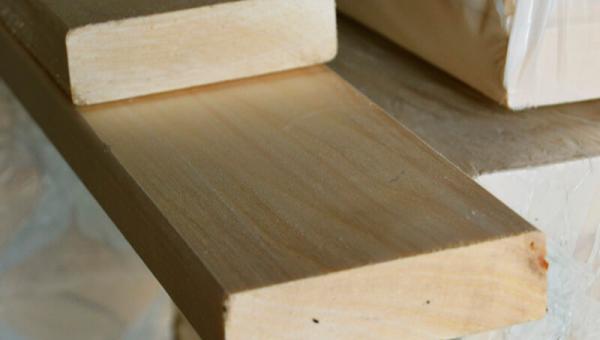 осина полог 