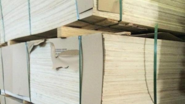 Фанера ФСФ 1500х3000 24 мм