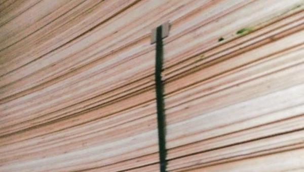 Фанера ФСФ 1220х2440 4 мм