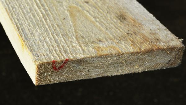 Обрезная доска 30х200х6000 доска 25х200 камерная сушка