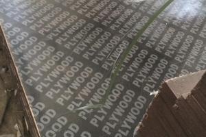 Ламинированная фанера 1500х3000 6 мм