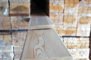 Планкен прямой лиственница